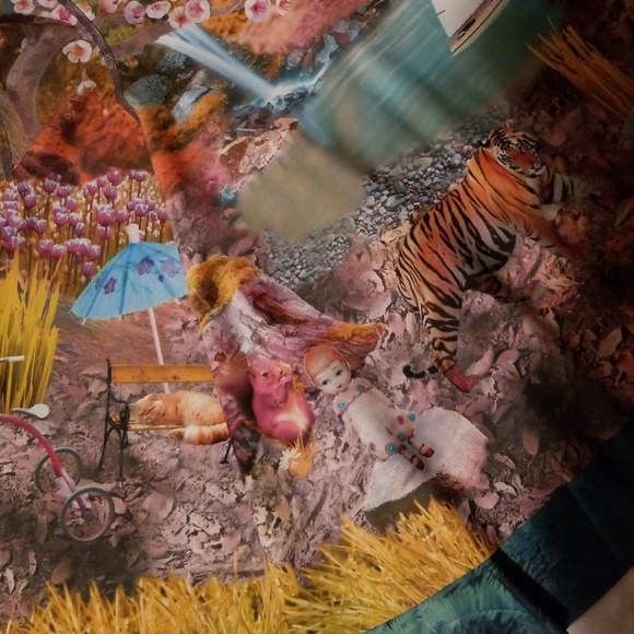 Ride and Seek IOD - Picture 6 of 8